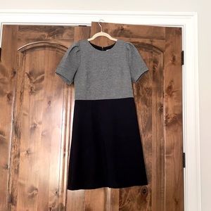 Ann Taylor loft dress size 4
